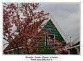 IMG_4110_RD