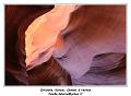 IMG_8468_RD