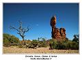 IMG_0867_RD