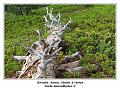 IMG_0360_RD