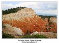 IMG_0362_RD