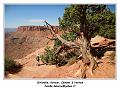 IMG_0912_RD
