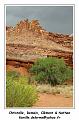 IMG_1036_RD