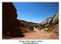 IMG_0452_RD