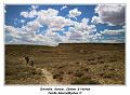 IMG_0459_RD