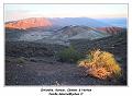 IMG_1260_RD