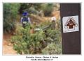 IMG_1110_RD