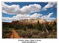 IMG_1143_RD