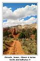 IMG_1144_RD