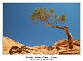 IMG_0884_RD