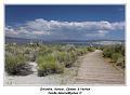 IMG_8193_RD