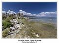 IMG_8194_RD