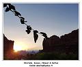 20170813_064504_RD