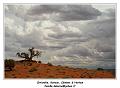 IMG_0584_RD