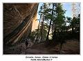 IMG_0638_RD
