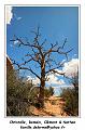 IMG_0670_RD