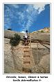 IMG_0684_RD