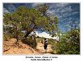 IMG_0694_RD