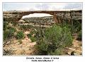 IMG_0700_RD