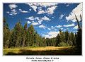 IMG_1339_RD
