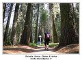 IMG_1340_RD