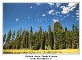 IMG_1342_RD