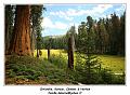 IMG_1343_RD