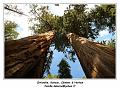 IMG_1360_RD