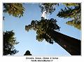 IMG_1366_RD