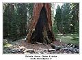 IMG_1369_RD