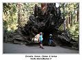 IMG_1370_RD