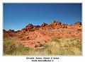IMG_1180_RD