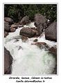 20170801_145058_RD