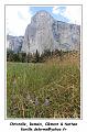 IMG_8168_RD