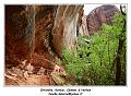 IMG_0256_RD