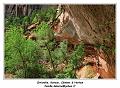 IMG_0258_RD