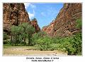 IMG_0298_RD