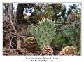 IMG_8215_RD