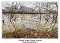 IMG_8828_RD