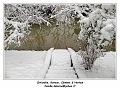 IMG_1636_RD