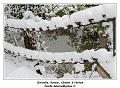 IMG_1642_RD