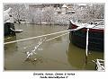 IMG_1644_RD