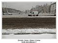IMG_1651_RD