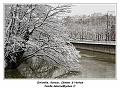 IMG_1654_RD