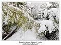 IMG_1669_RD