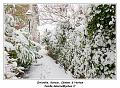 IMG_1674_RD