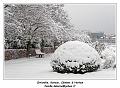IMG_1689_RD